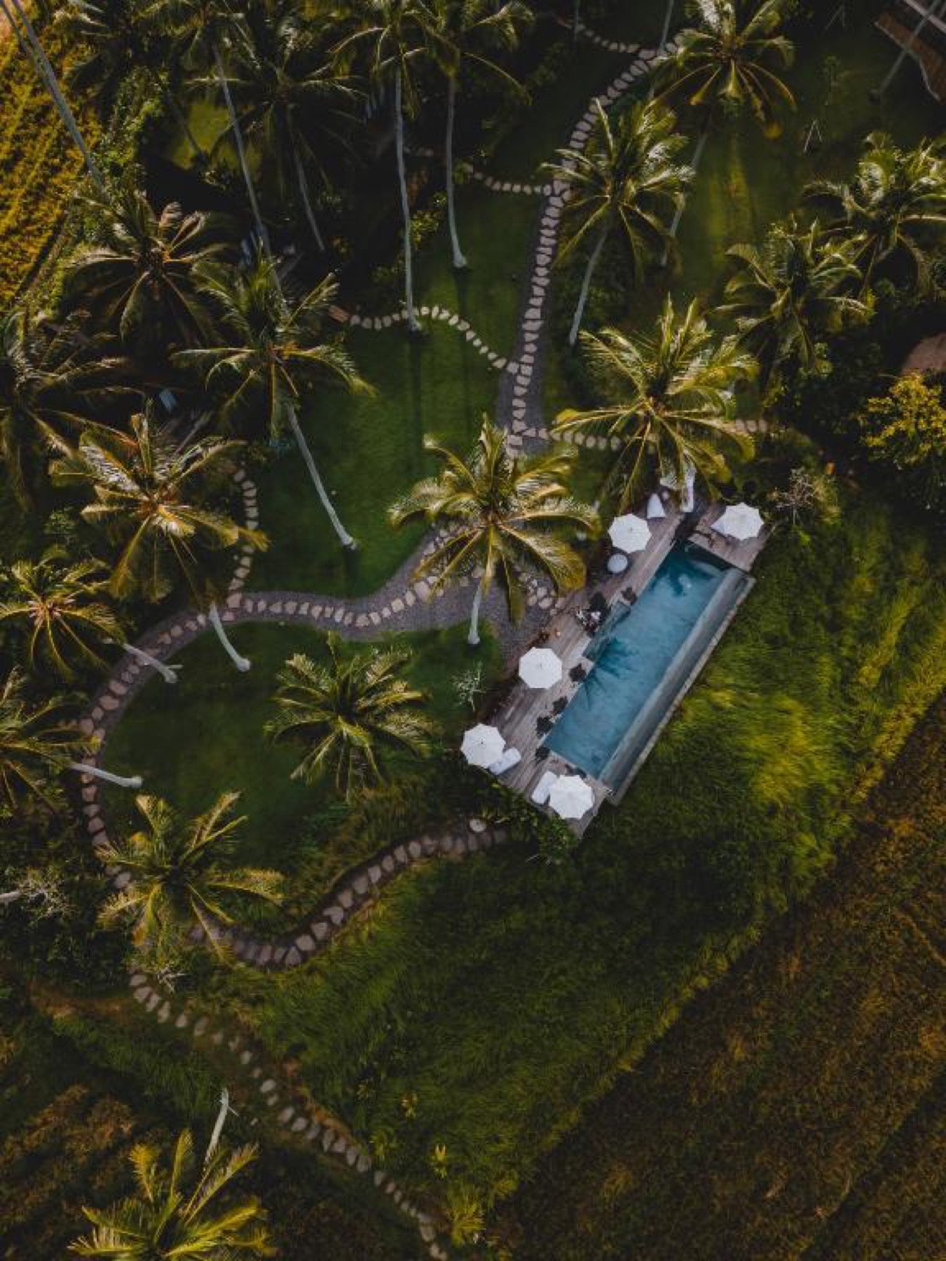 Aerial view of Desa Cabins among palms and rice fields